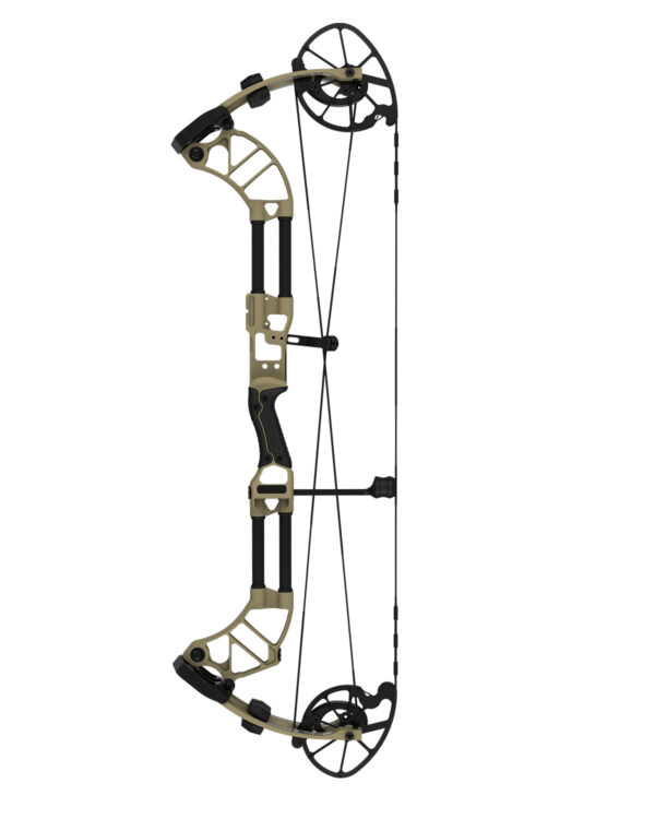 FORM