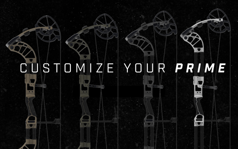 Untitled (800 x 500 px) (4)